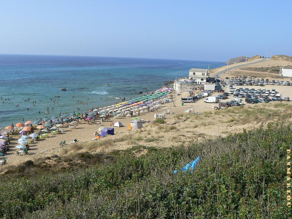 PETITE PLAGE 2009 (3).jpg